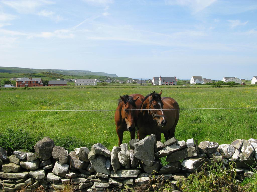 Nellie Dee's Doolin
